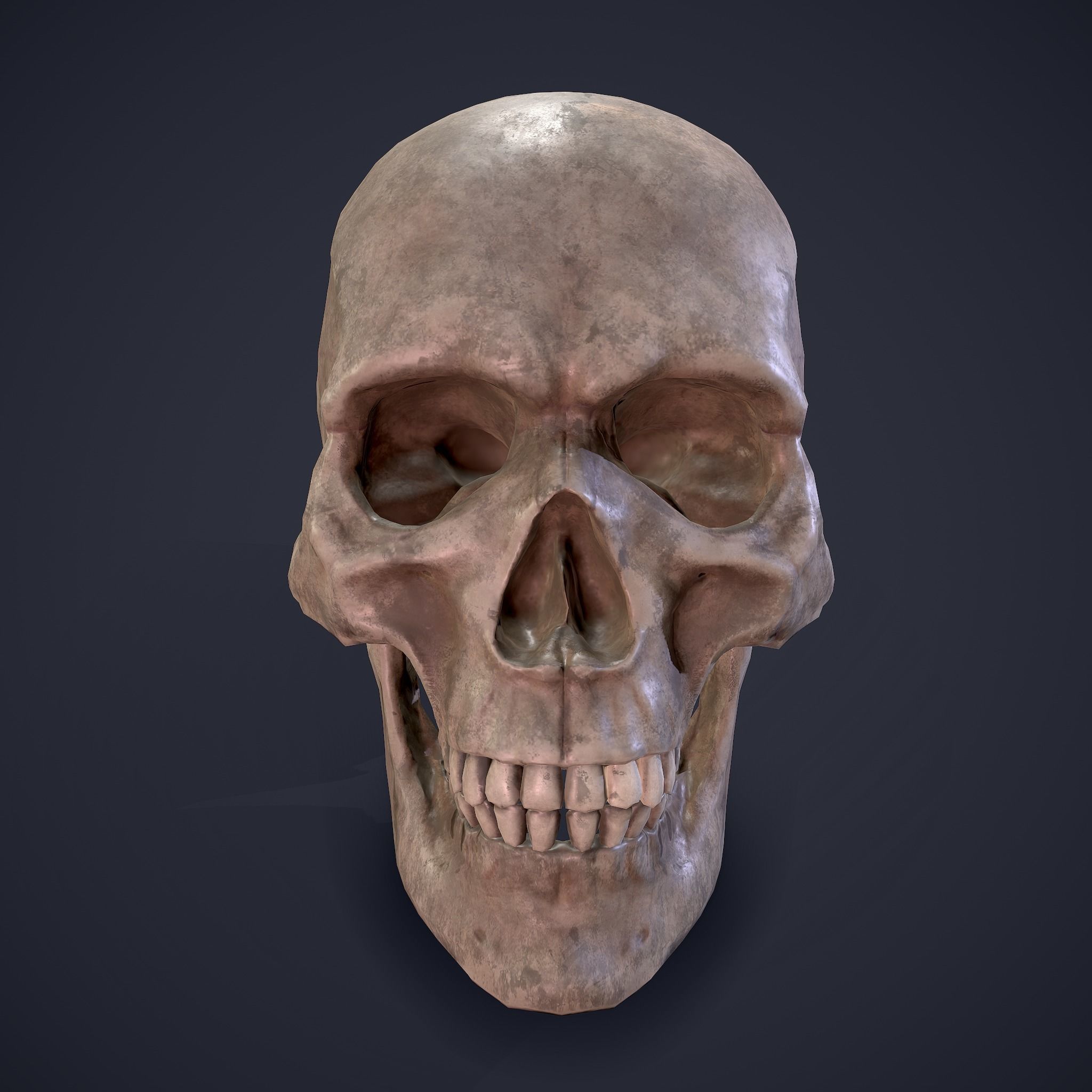 Skull human Free low-poly 3D model_12