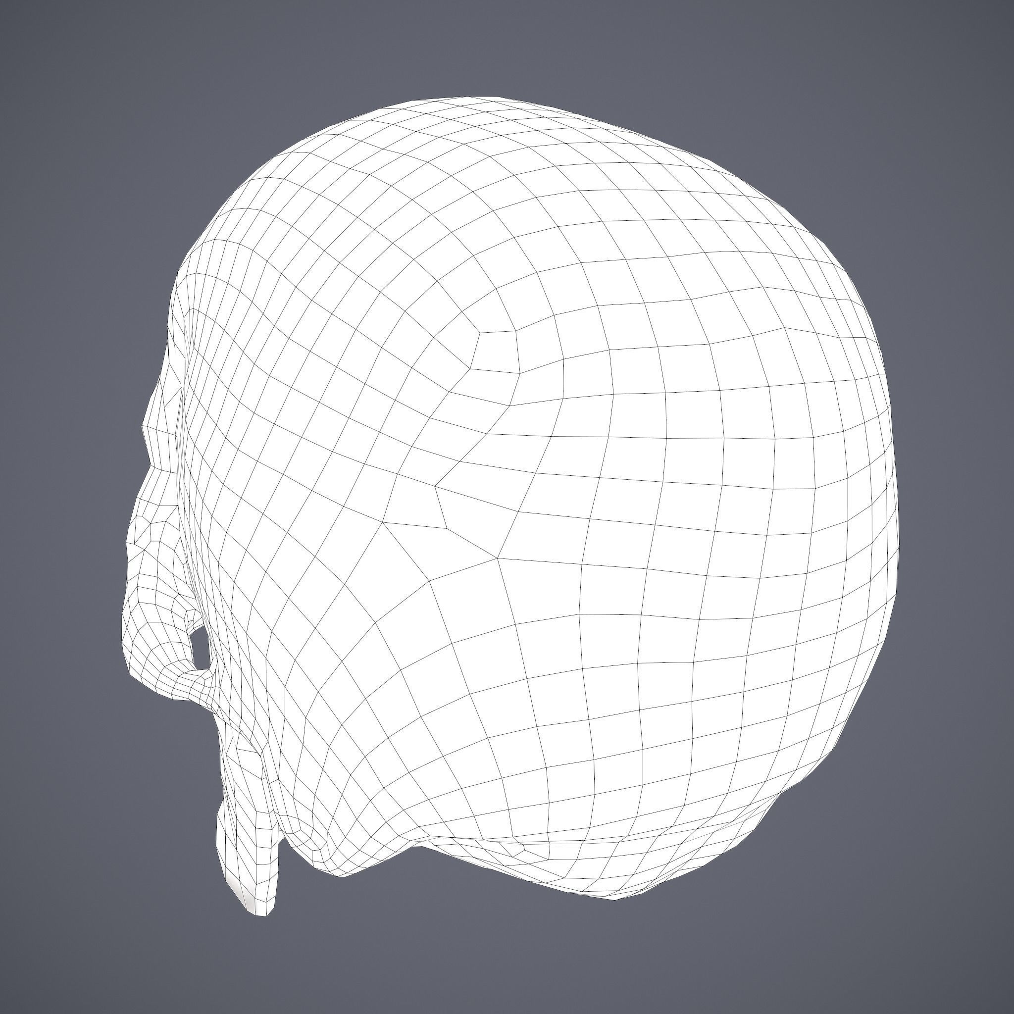 Skull human Free low-poly 3D model_39