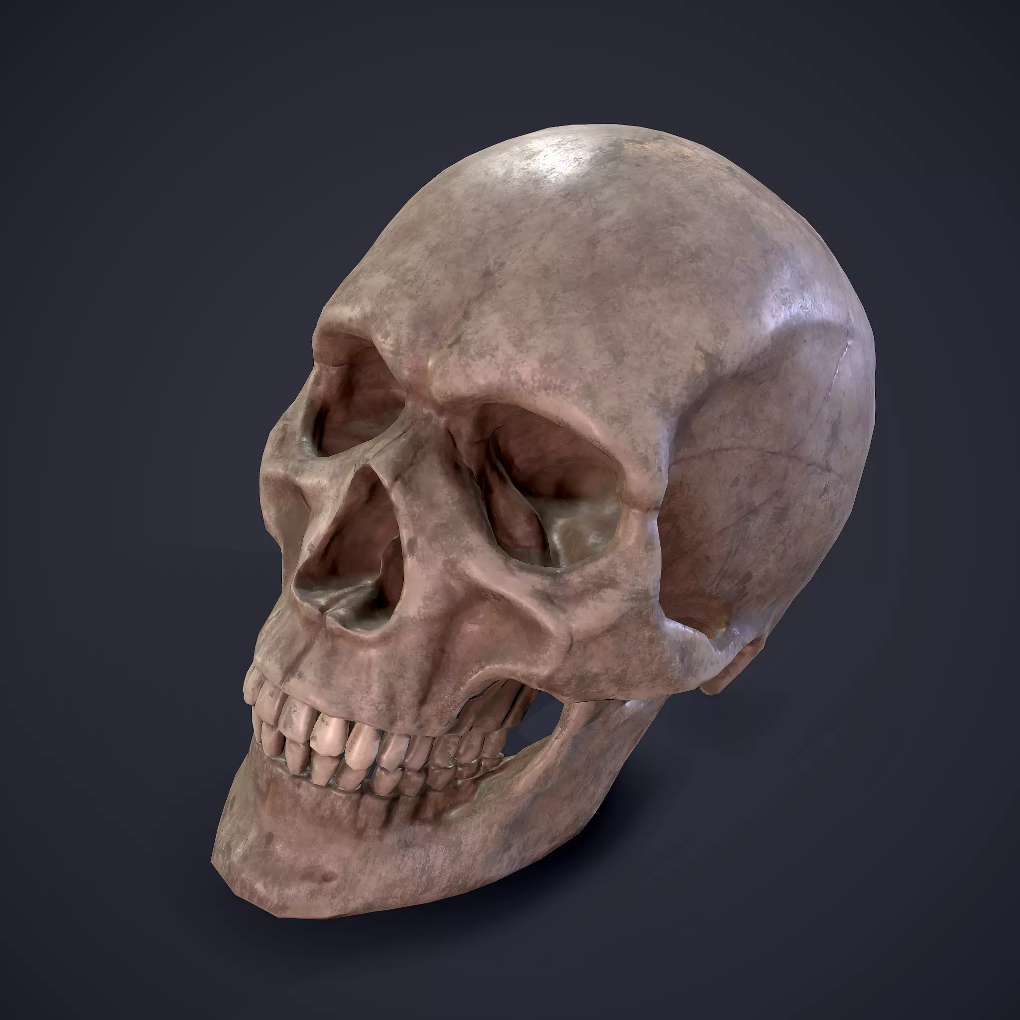 Skull human Free low-poly 3D model_0