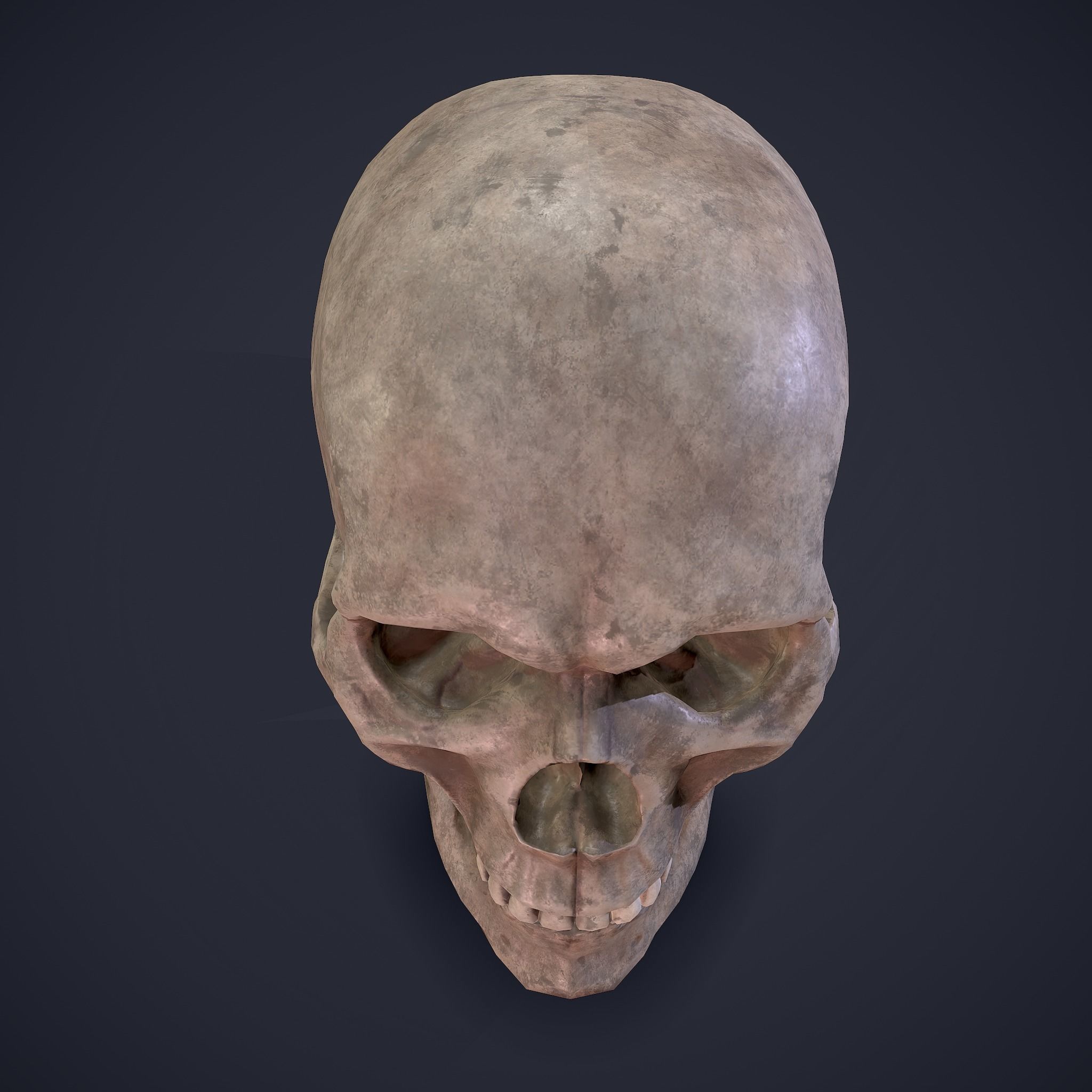 Skull human Free low-poly 3D model_22