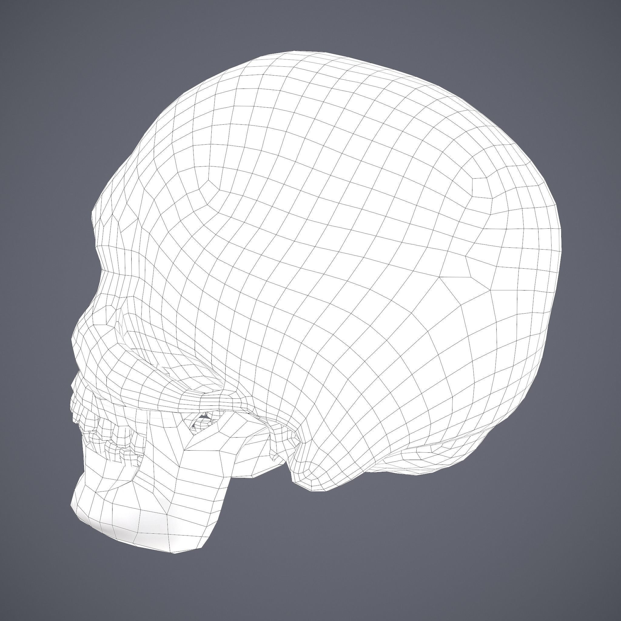 Skull human Free low-poly 3D model_40