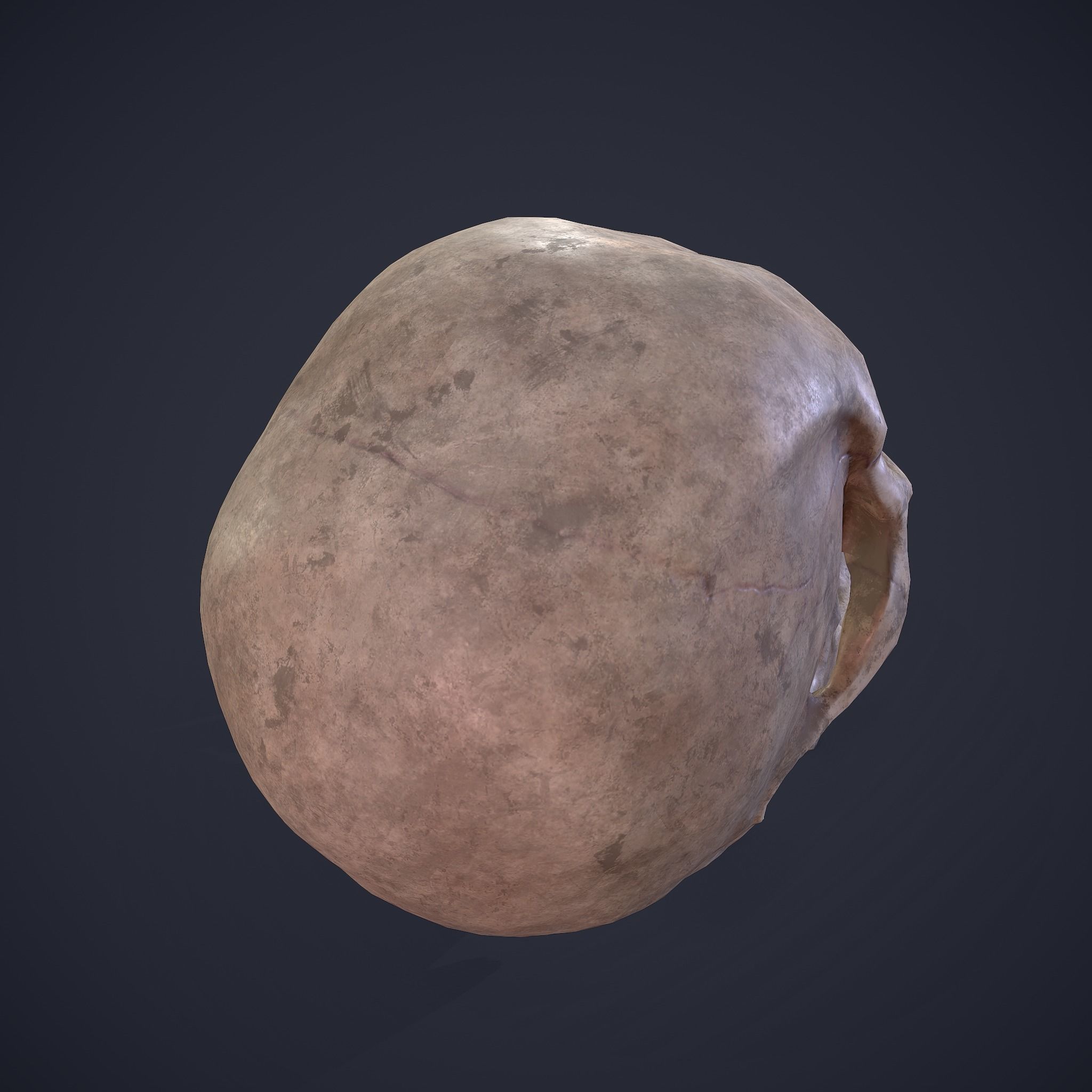 Skull human Free low-poly 3D model_16