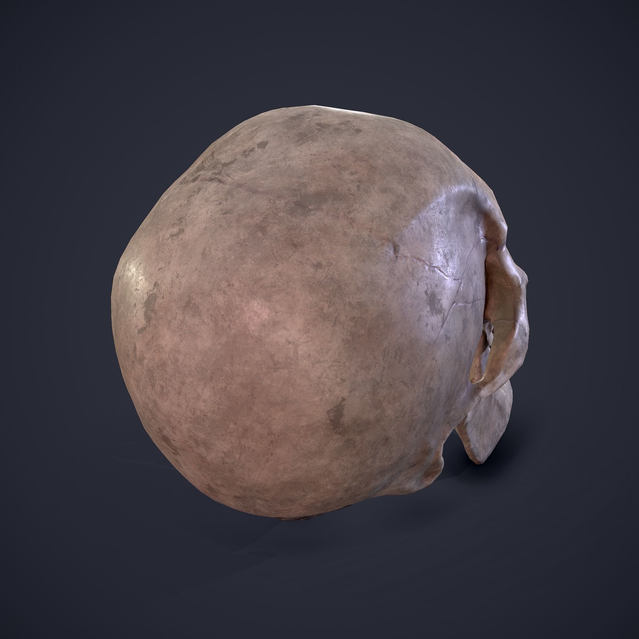 Skull human Free low-poly 3D model_5