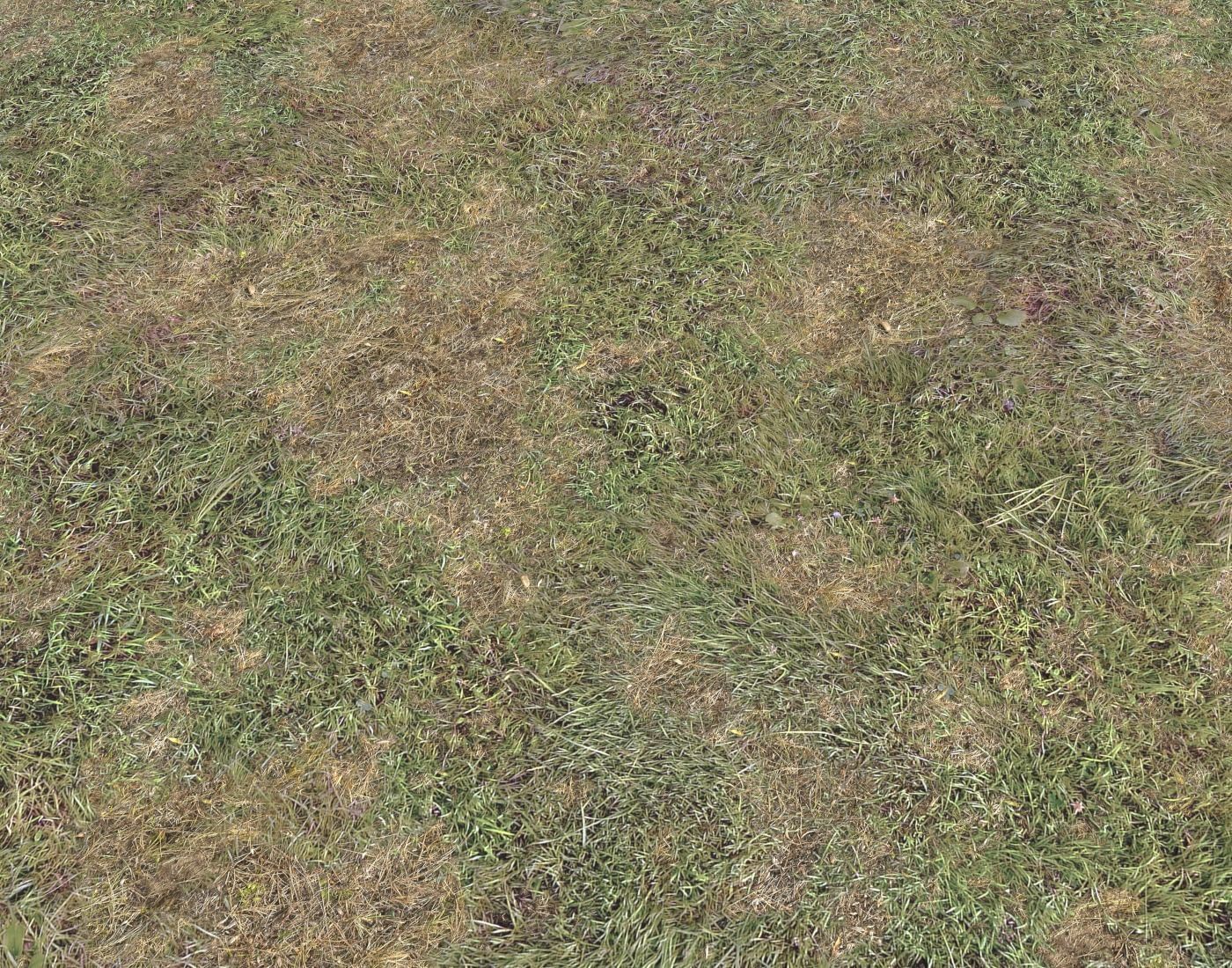 Ground terrain grass PBR pack 5 Texture | CGTrader