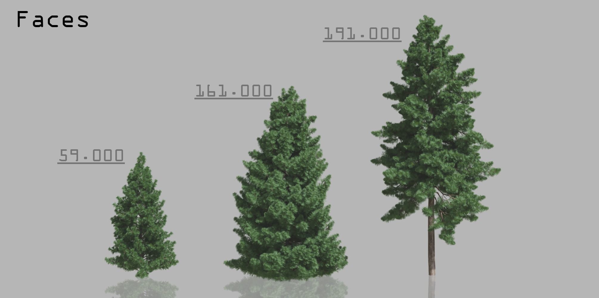 15 Conifer Trees 3D model_9