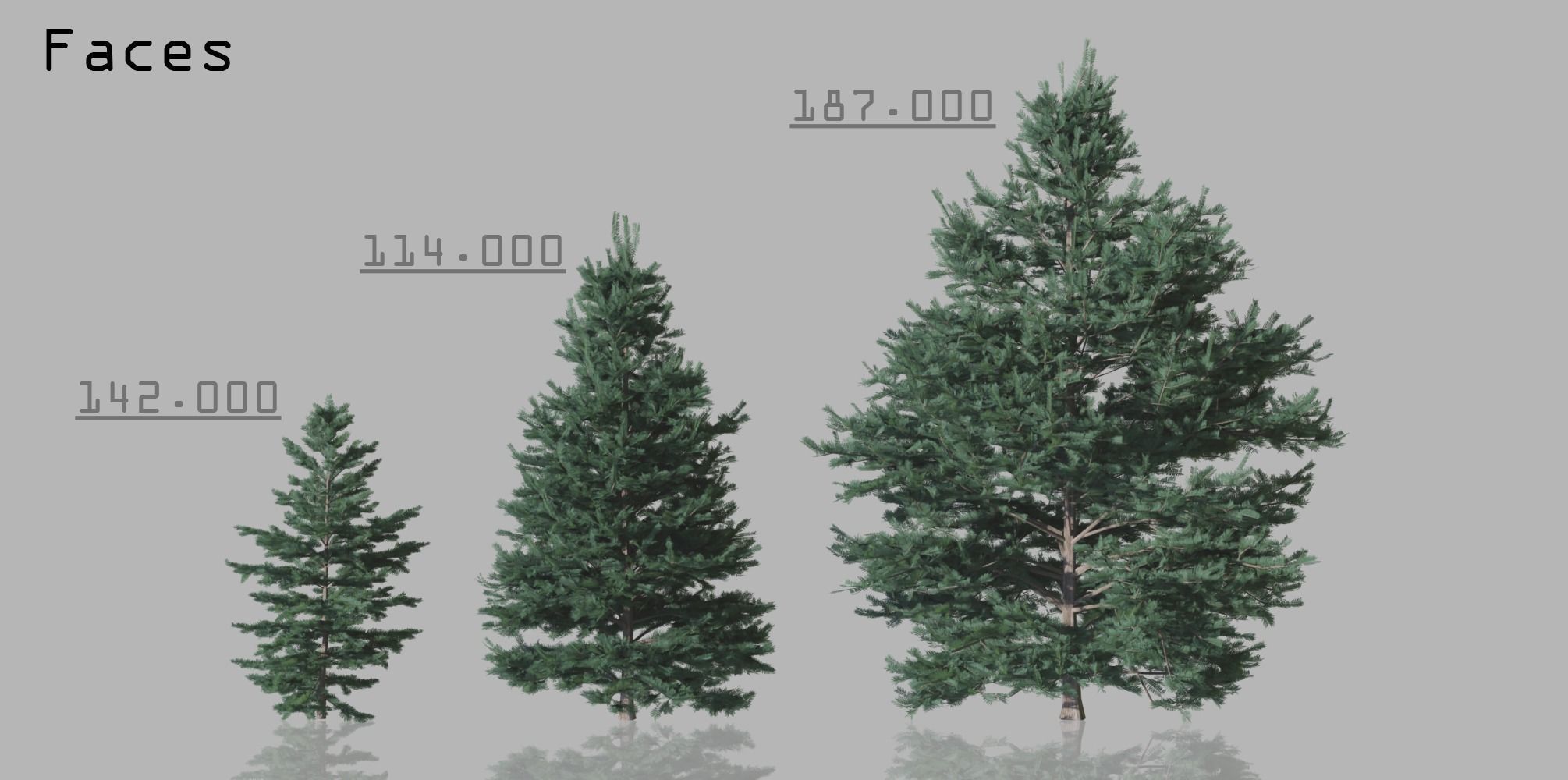 15 Conifer Trees 3D model_1