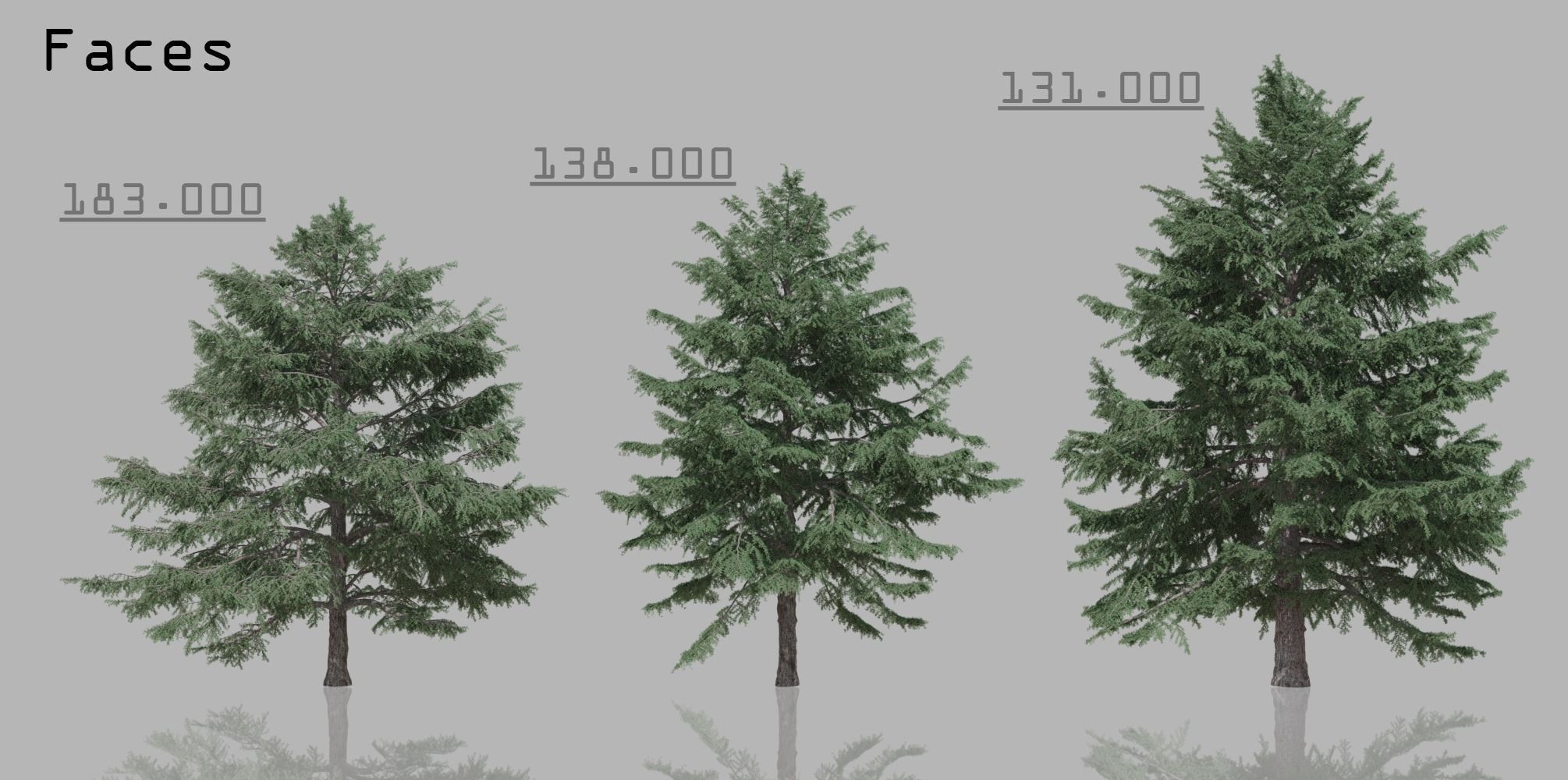 15 Conifer Trees 3D model_3