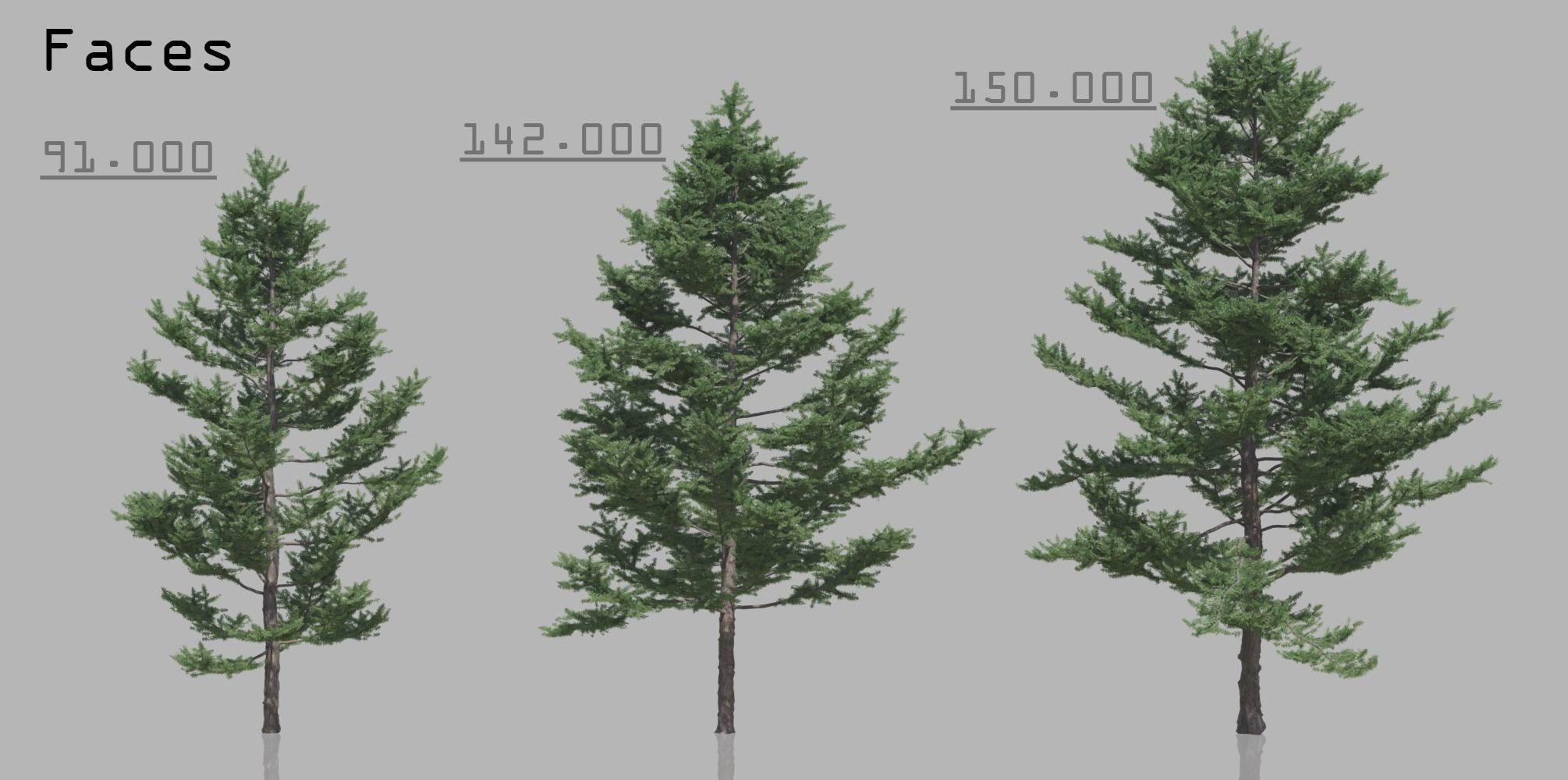 15 Conifer Trees 3D model_5