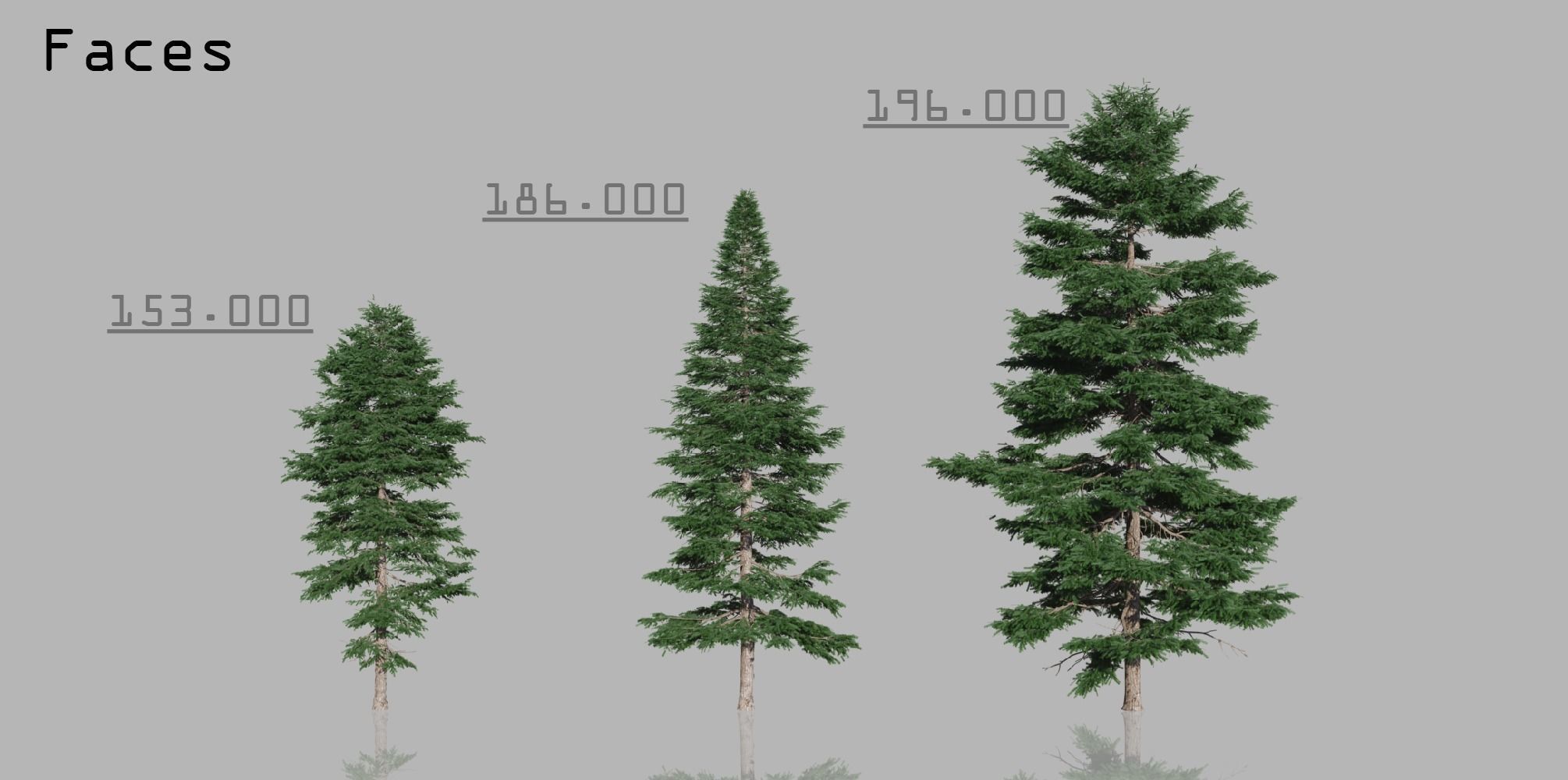 15 Conifer Trees 3D model_7