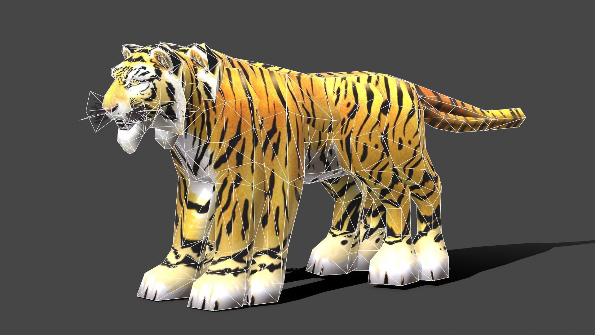 Tiger - Low poly Animal Low-poly 3D model_4