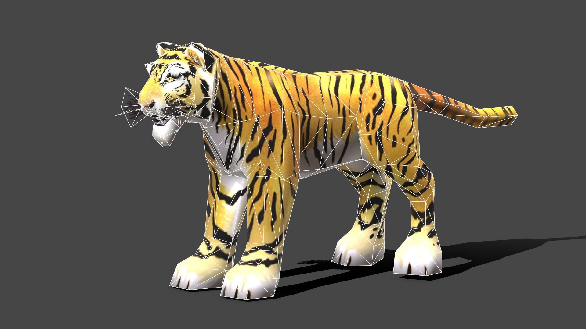 Tiger - Low poly Animal Low-poly 3D model_10