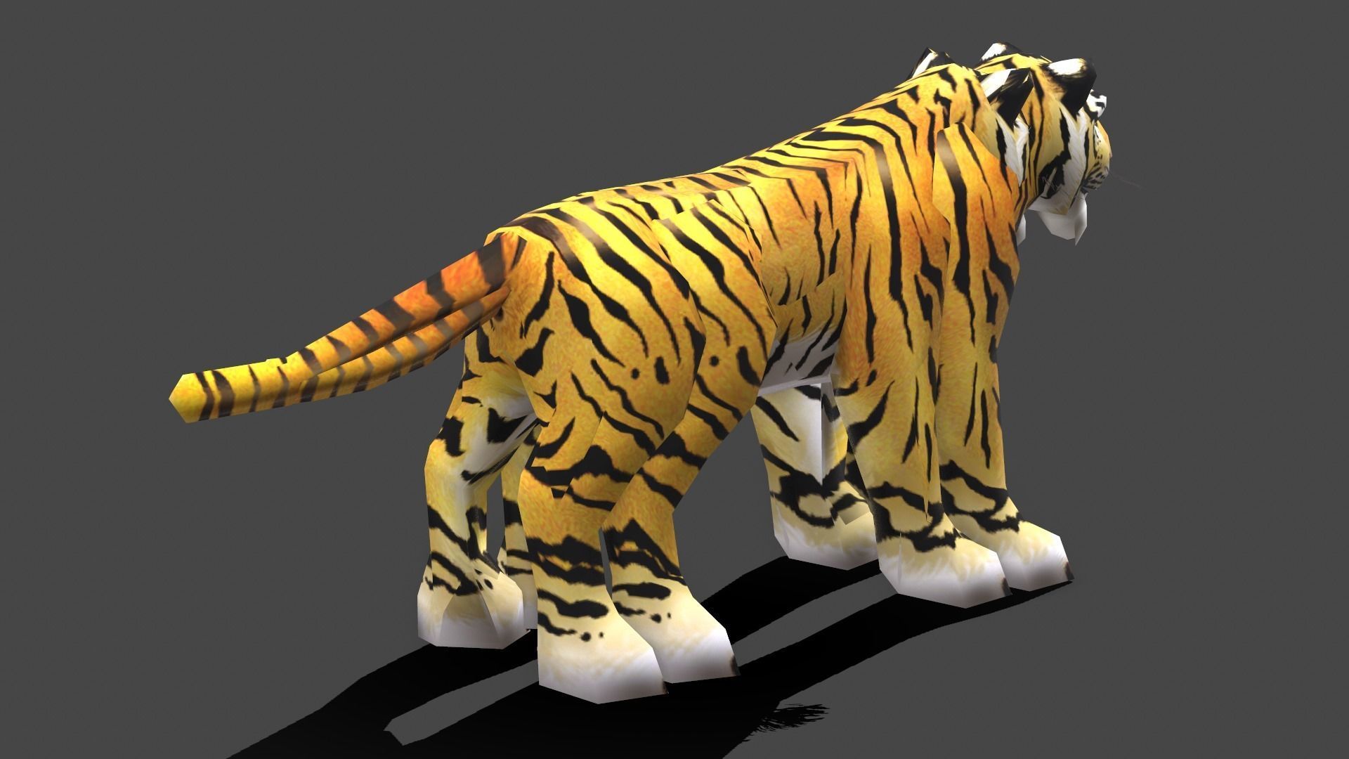 Tiger - Low poly Animal Low-poly 3D model_3