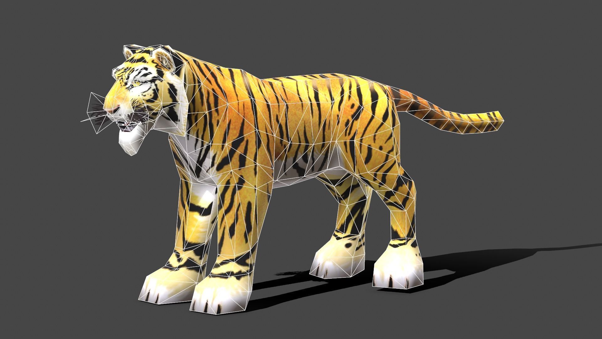 Tiger - Low poly Animal Low-poly 3D model_9