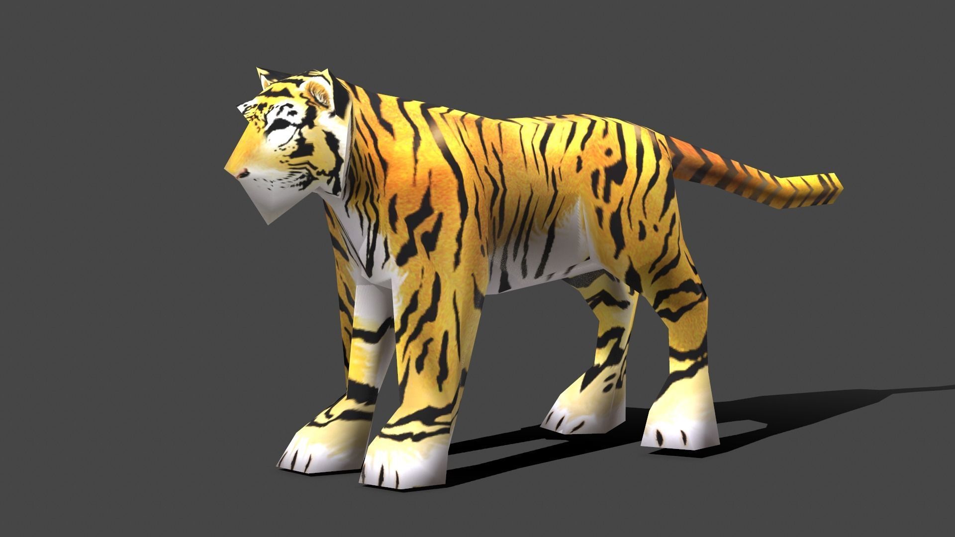 Tiger - Low poly Animal Low-poly 3D model_5