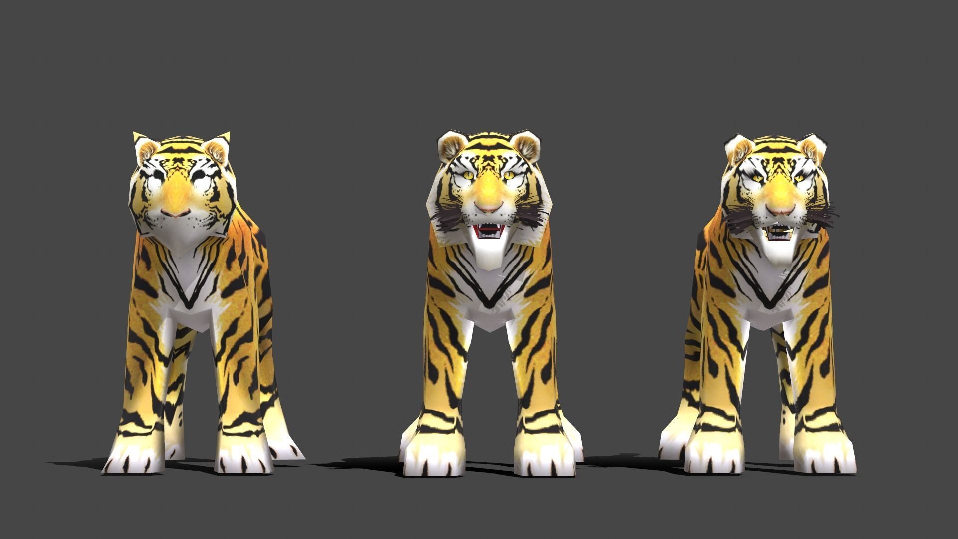 Tiger - Low poly Animal Low-poly 3D model_1