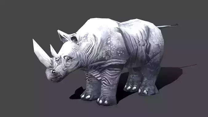 Rhinoceros - Low poly Animal