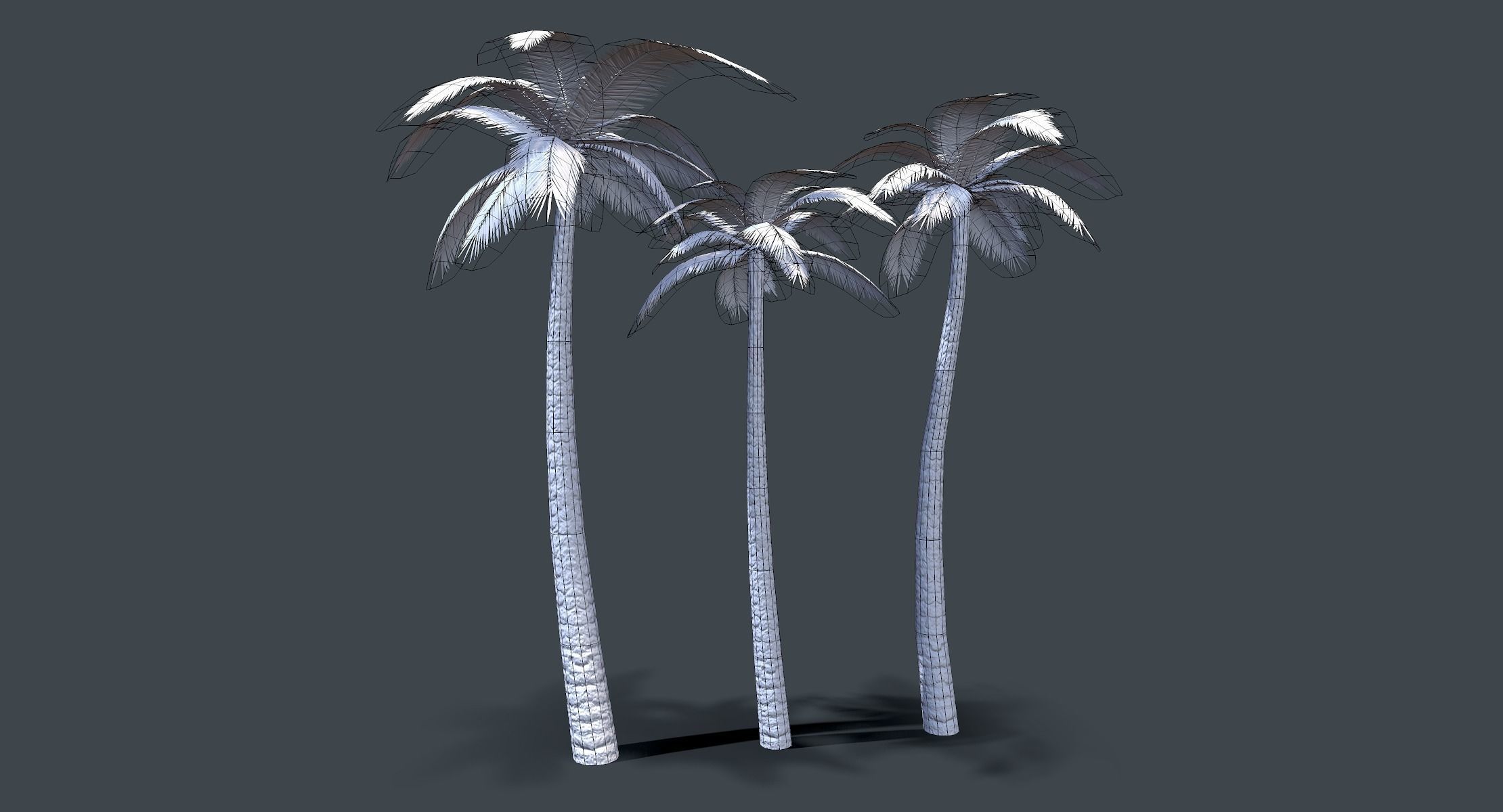 Palm Tree lowpoly Low-poly 3D model_5