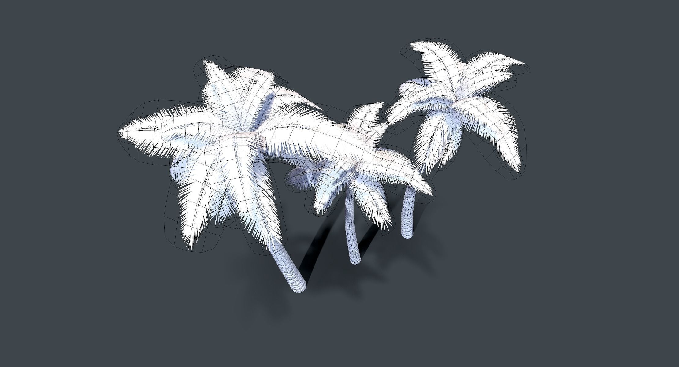 Palm Tree lowpoly Low-poly 3D model_4