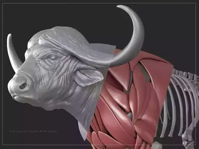 Removed Item 3D model