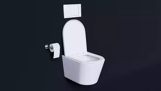 modern toilet