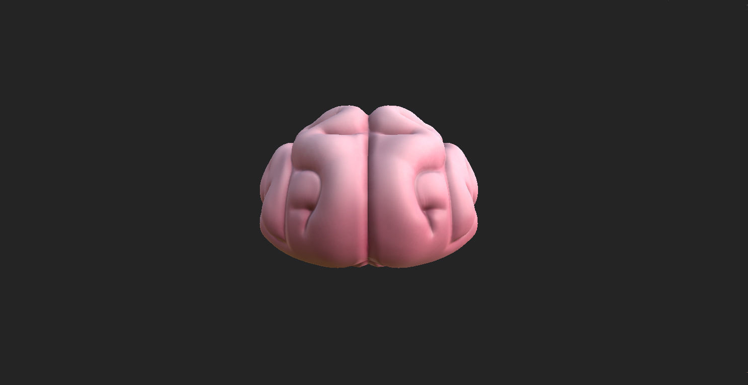 Brain human 3D model_3