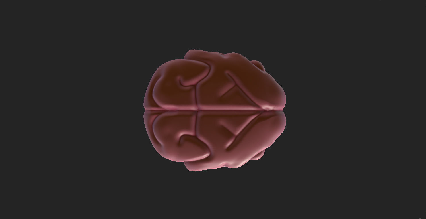 Brain human 3D model_6