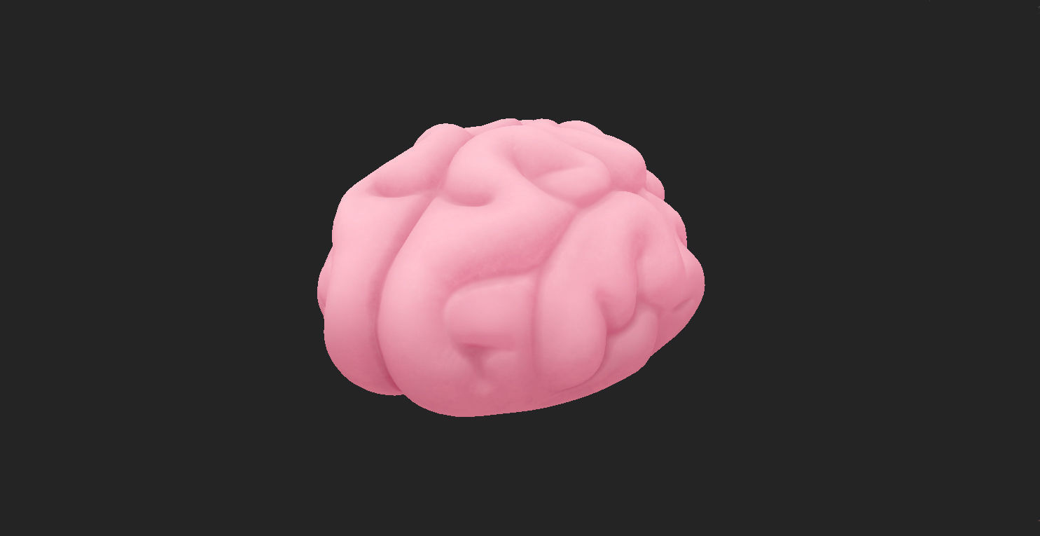 Brain human 3D model_9