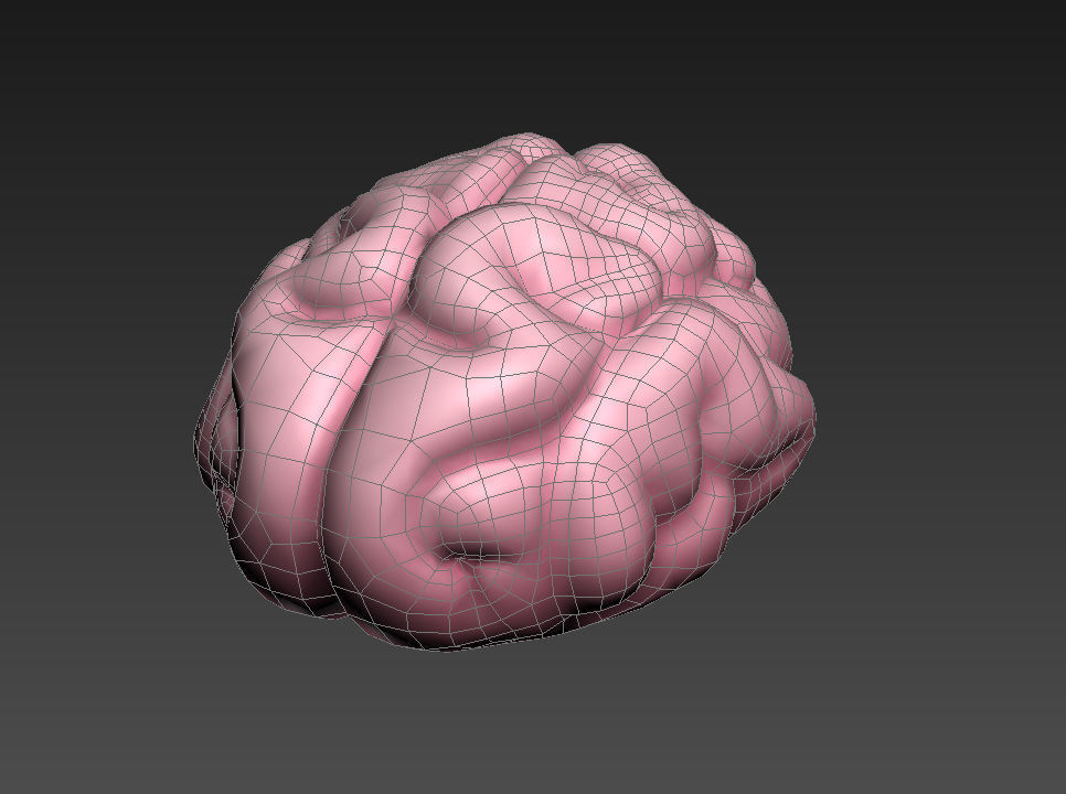 Brain human 3D model_12