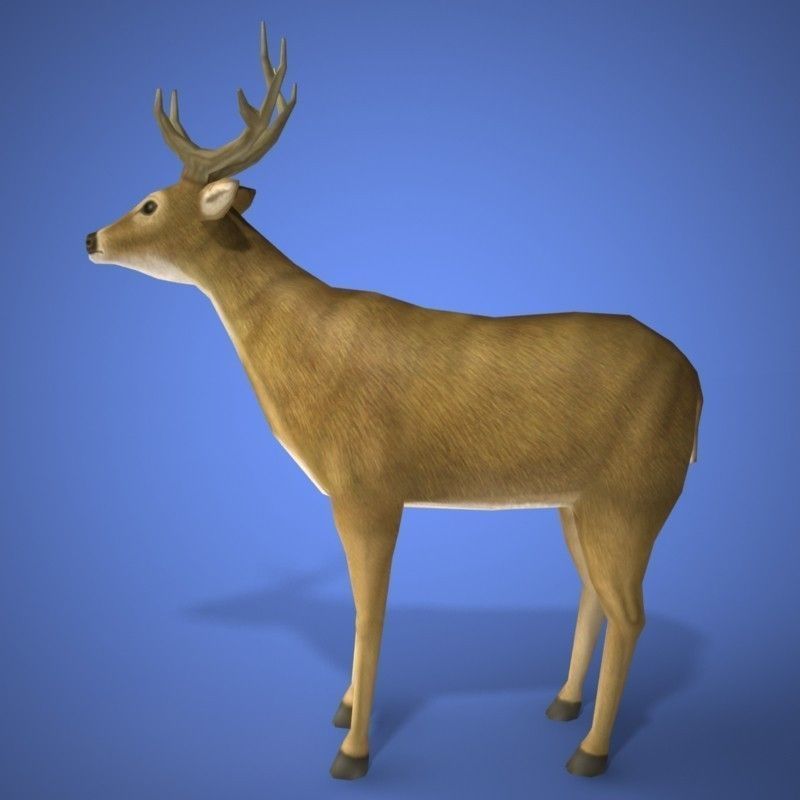 deer 3d model 3D print model_2