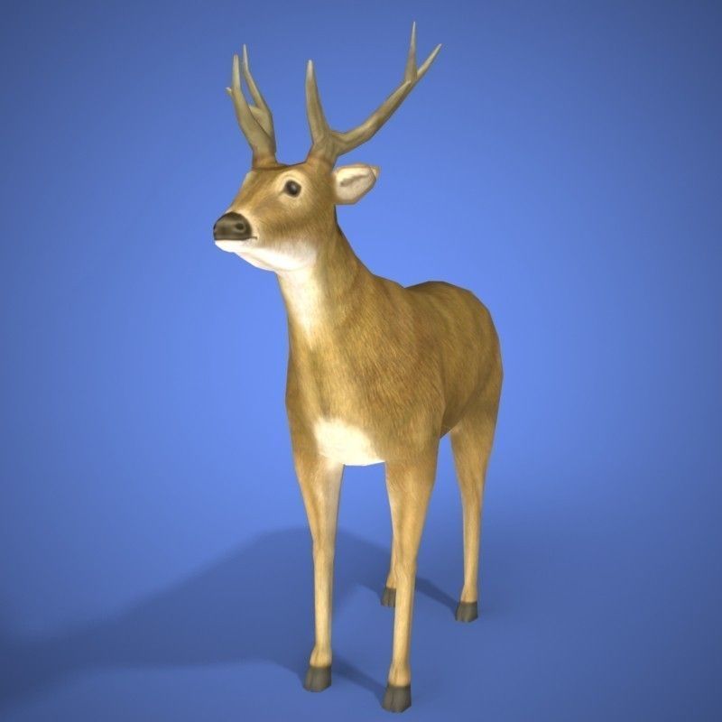 deer 3d model 3D print model_1