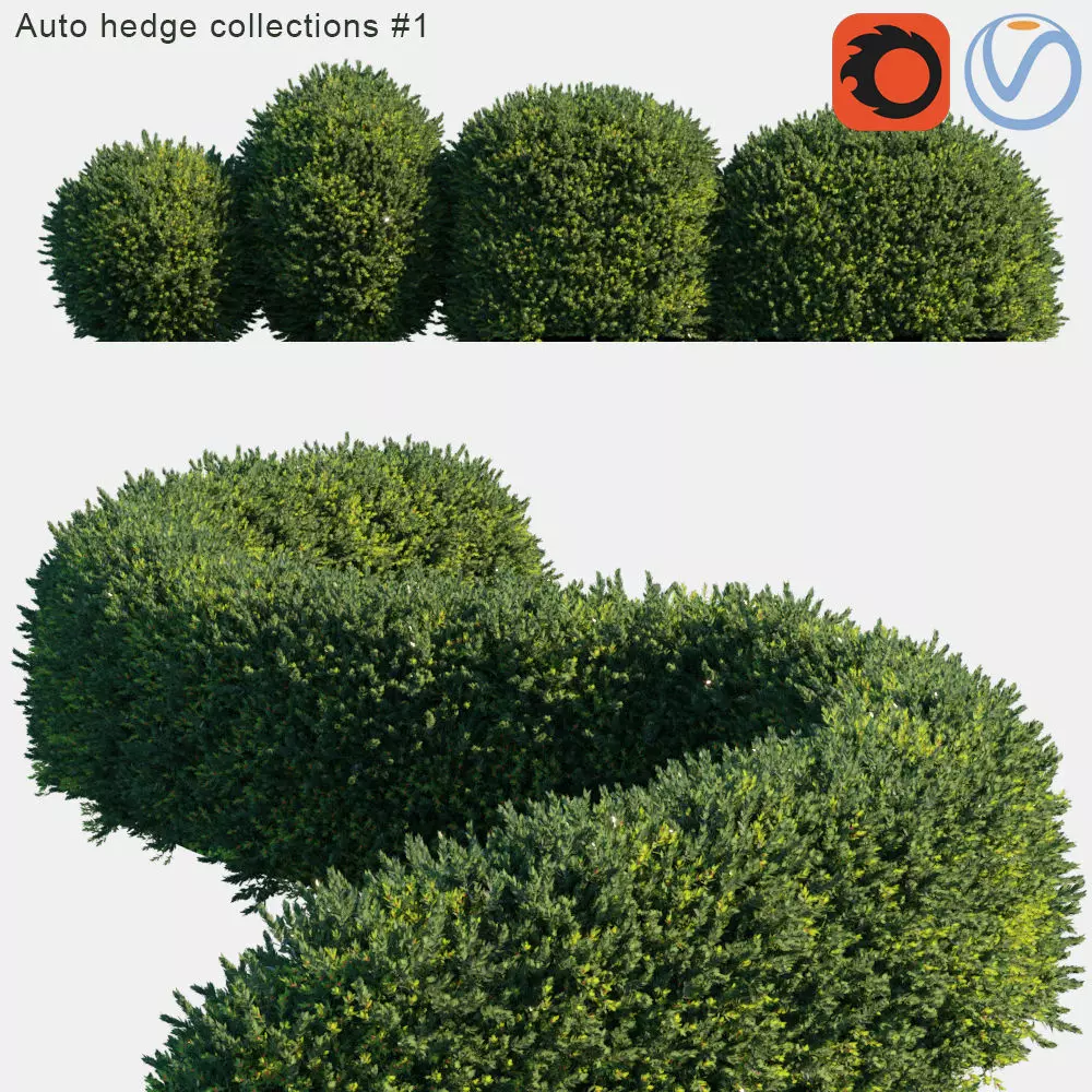 Auto hedge collections 1 3D model_0