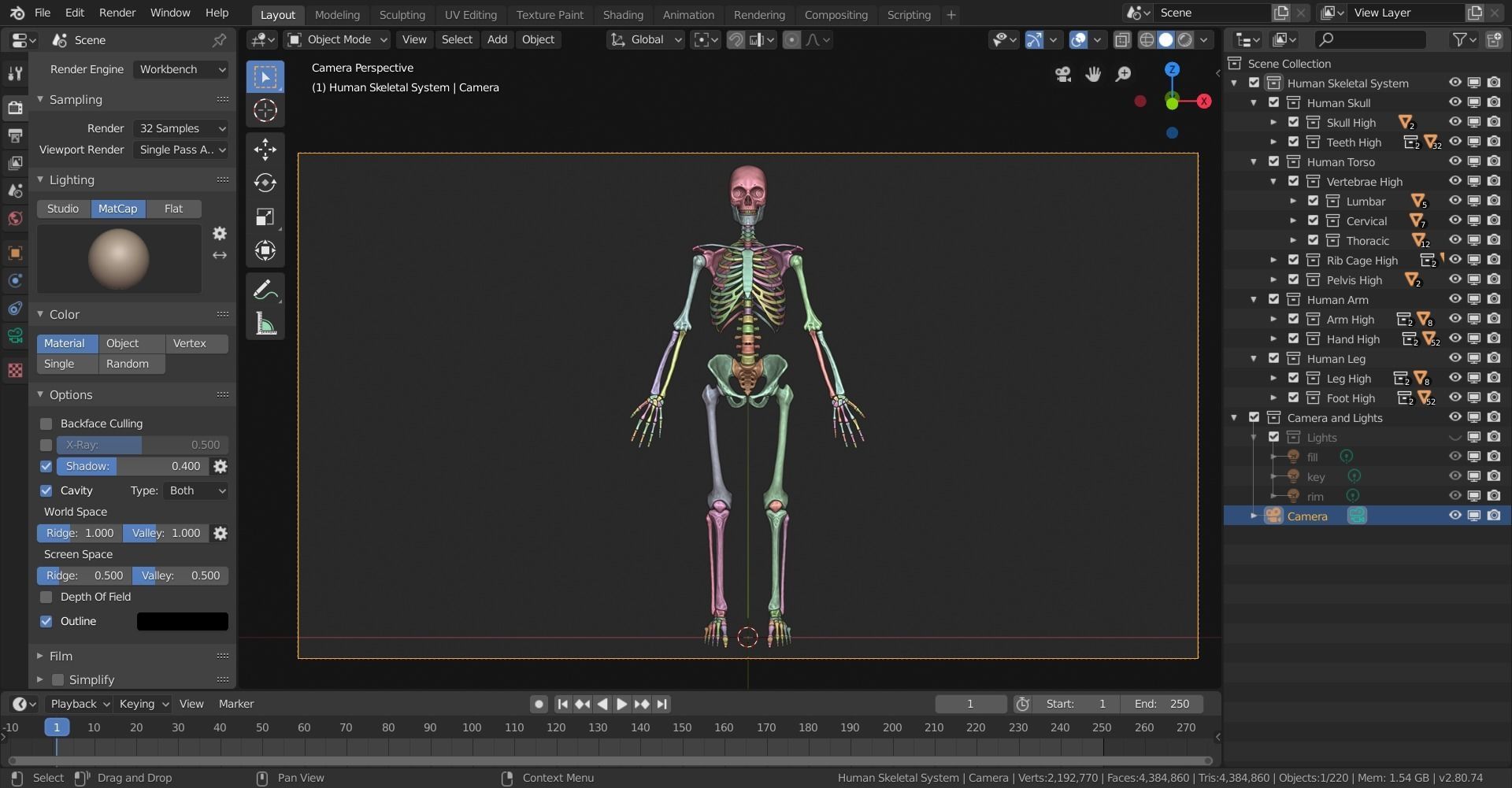 Human Skeletal System High Poly 3D model_32