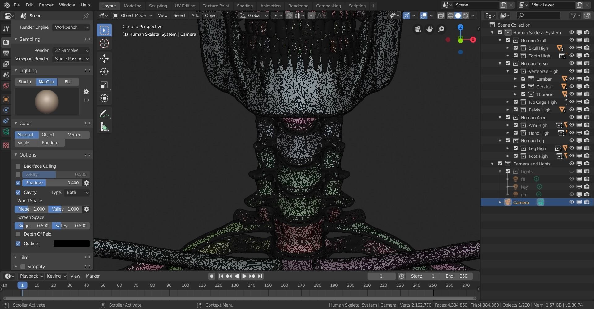 Human Skeletal System High Poly 3D model_33
