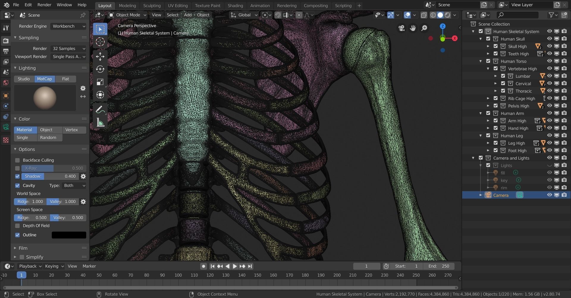 Human Skeletal System High Poly 3D model_34