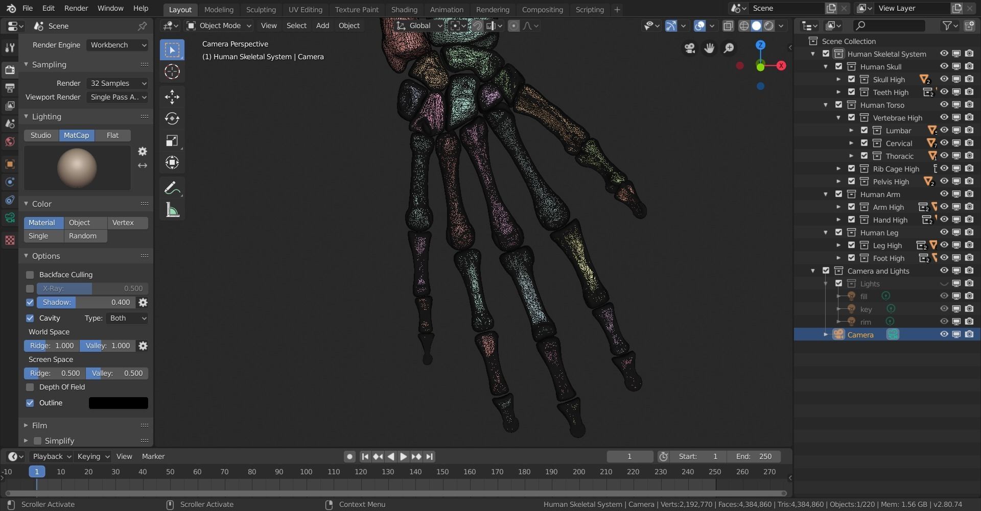 Human Skeletal System High Poly 3D model_35
