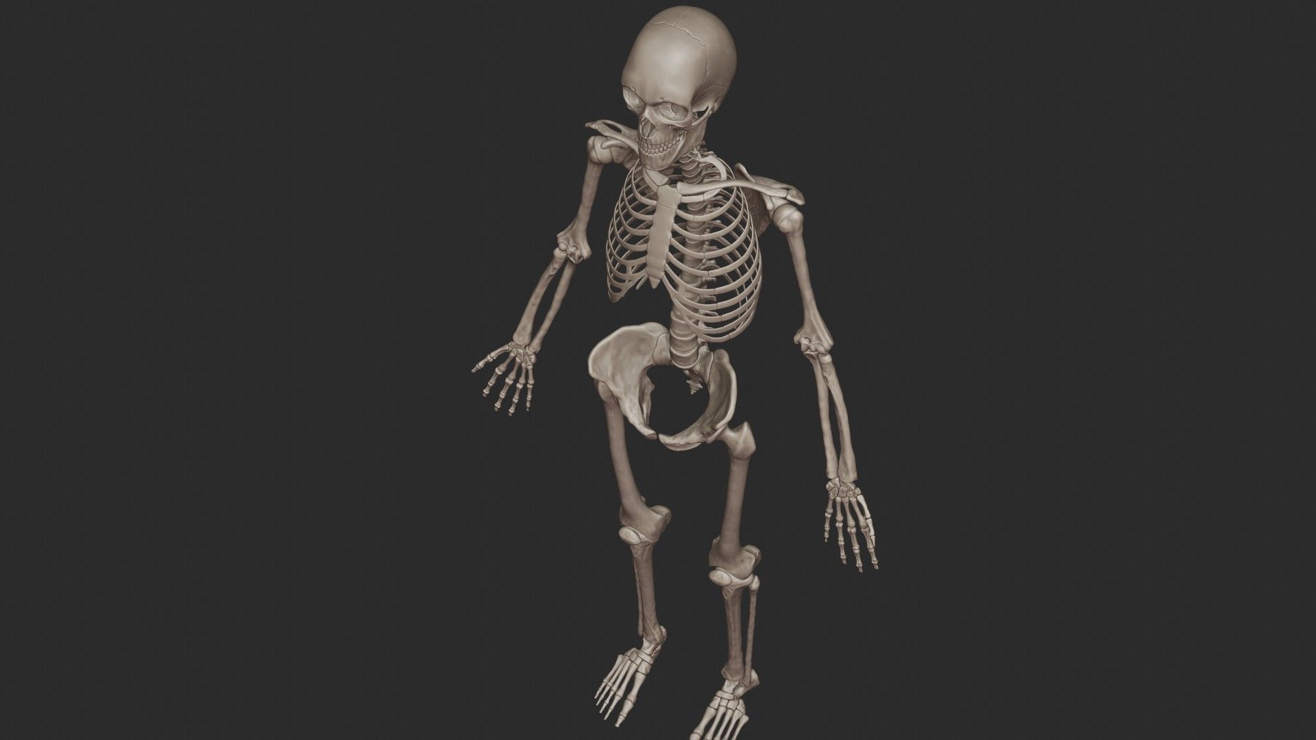 Human Skeletal System High Poly 3D model_8
