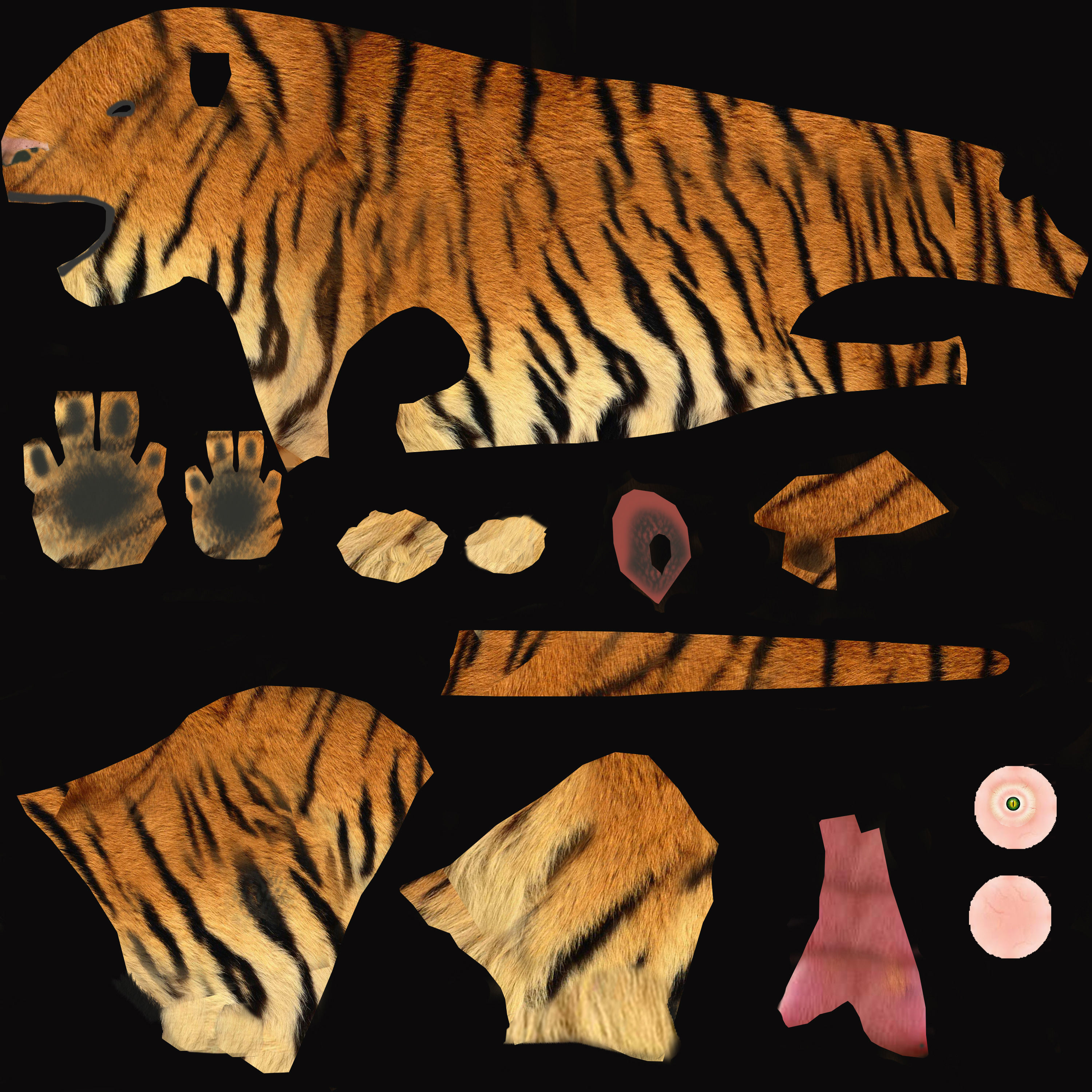 tiger lion in night Low-poly 3D model_1