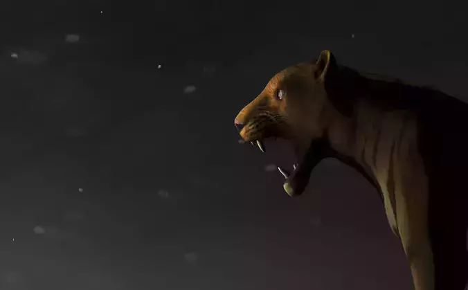 tiger lion in night Low-poly 3D model