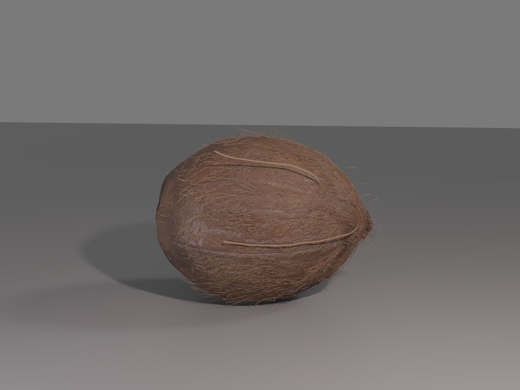 COCONUT 3D model_11
