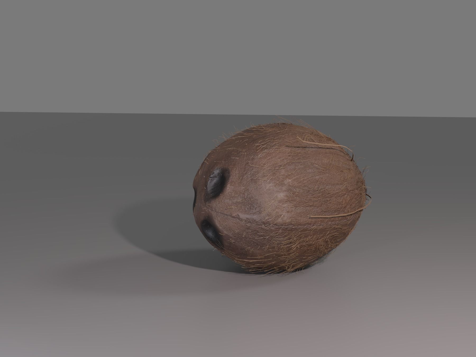 COCONUT 3D model_7
