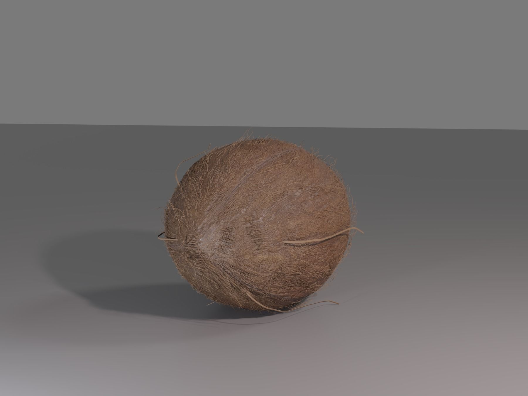 COCONUT 3D model_13