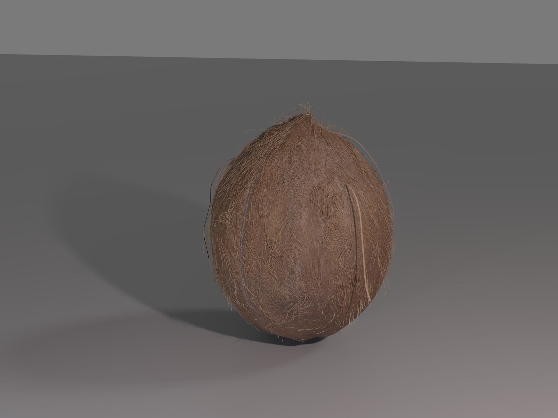 COCONUT 3D model_10