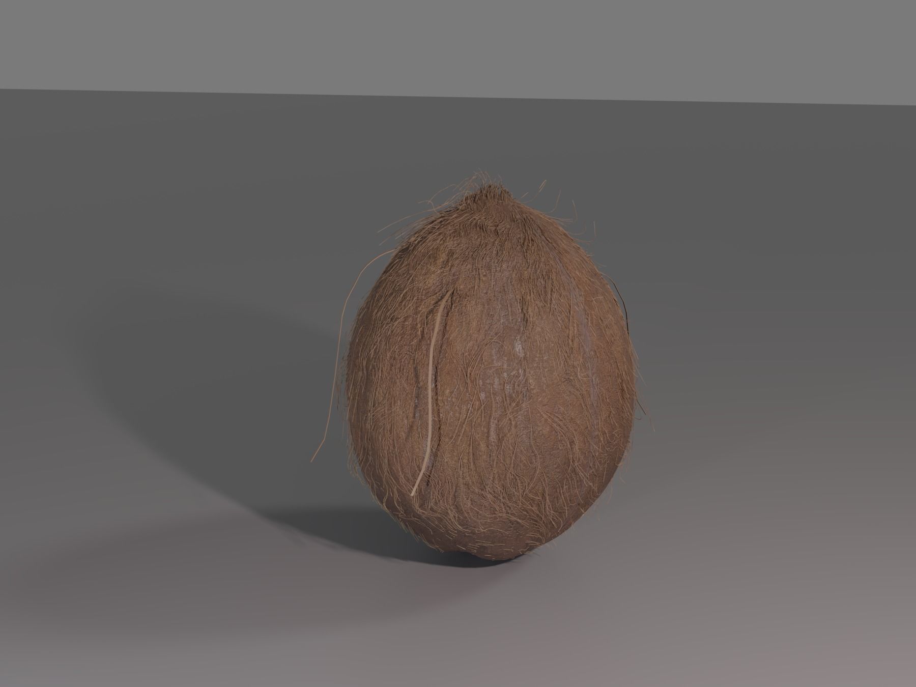 COCONUT 3D model_6