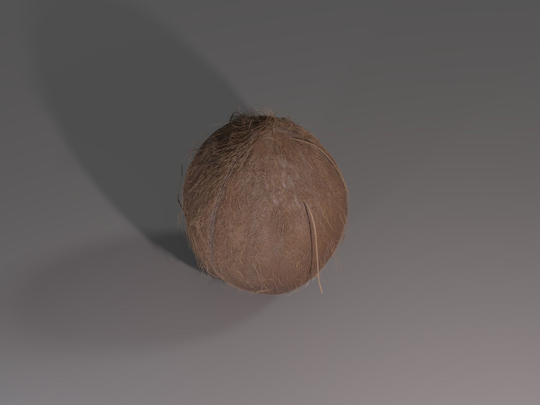 COCONUT 3D model_14