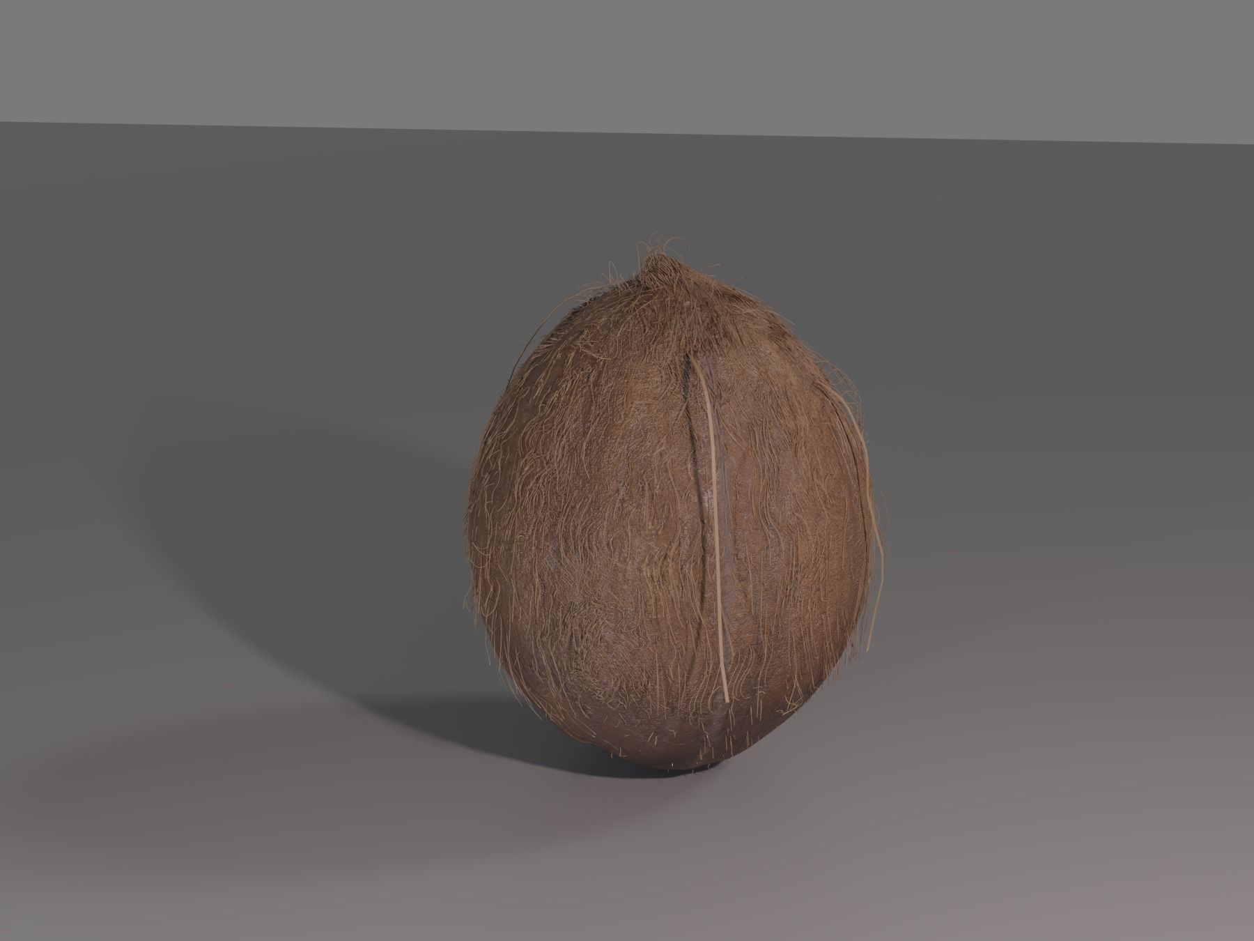 COCONUT 3D model_5