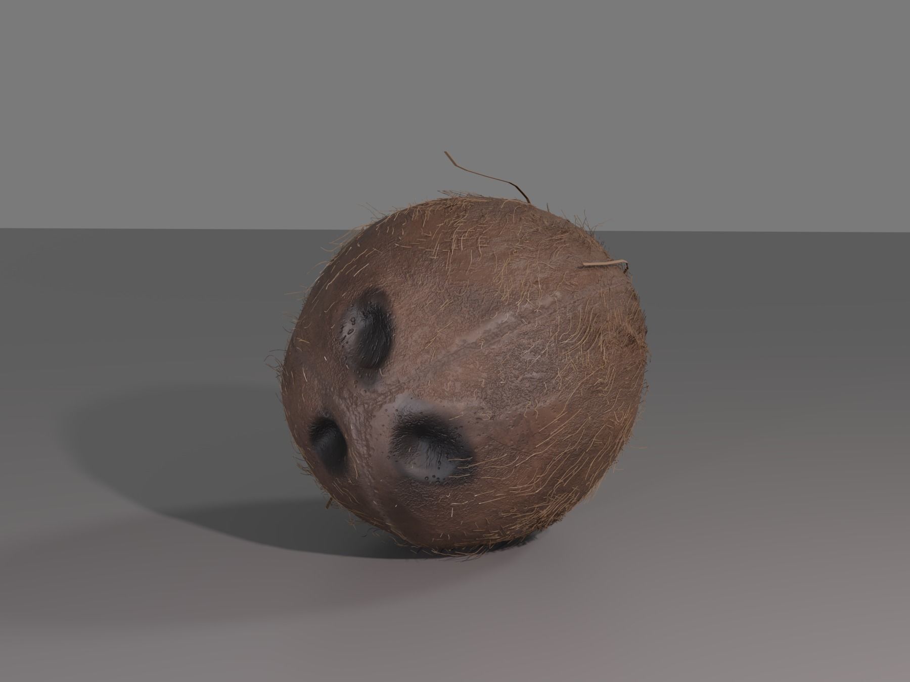 COCONUT 3D model_2