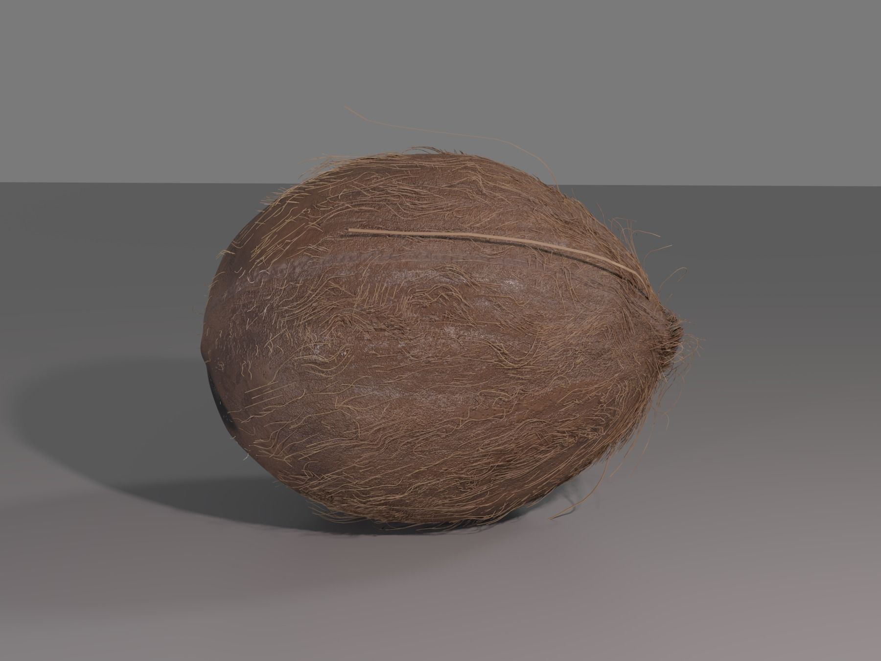COCONUT 3D model_1