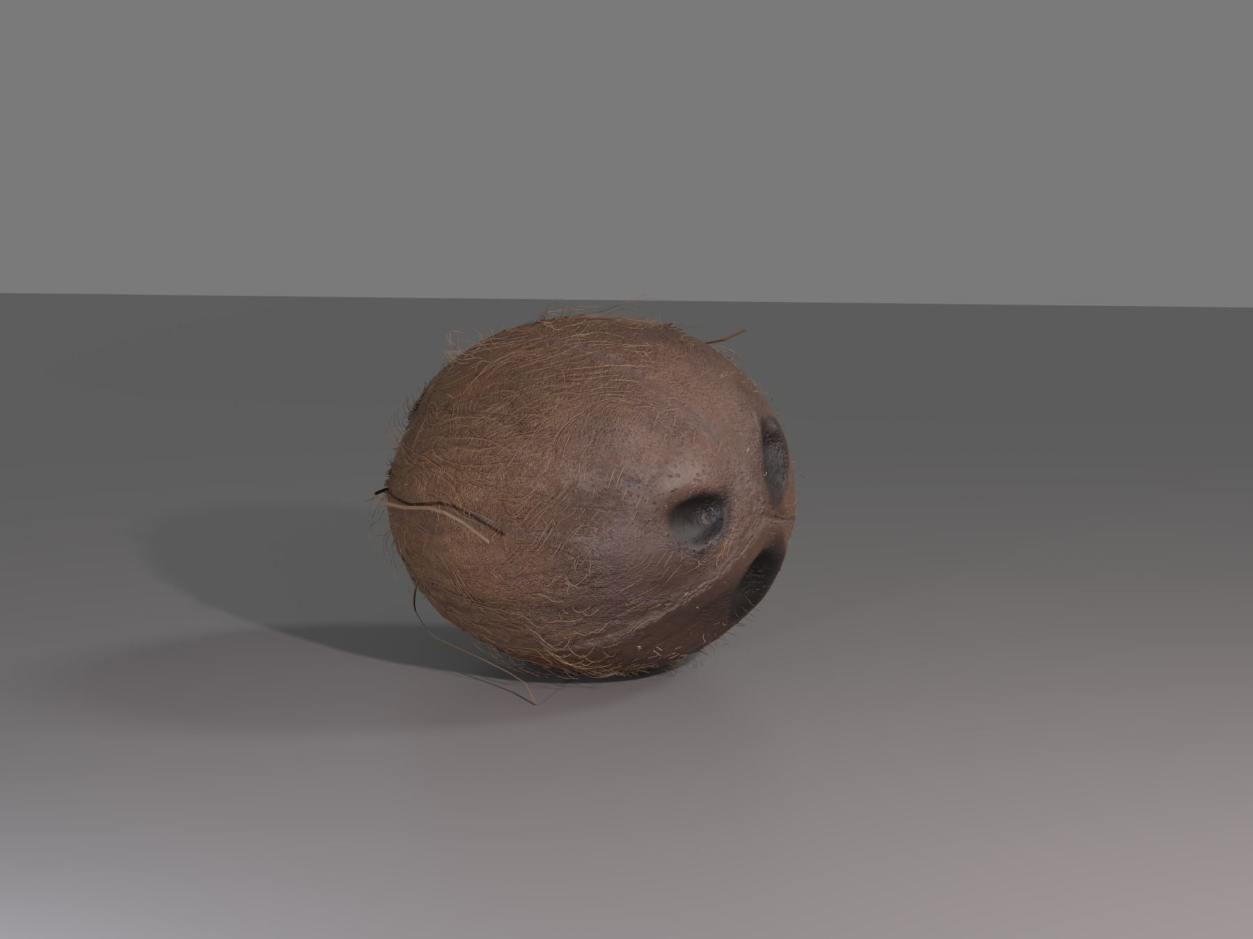 COCONUT 3D model_12