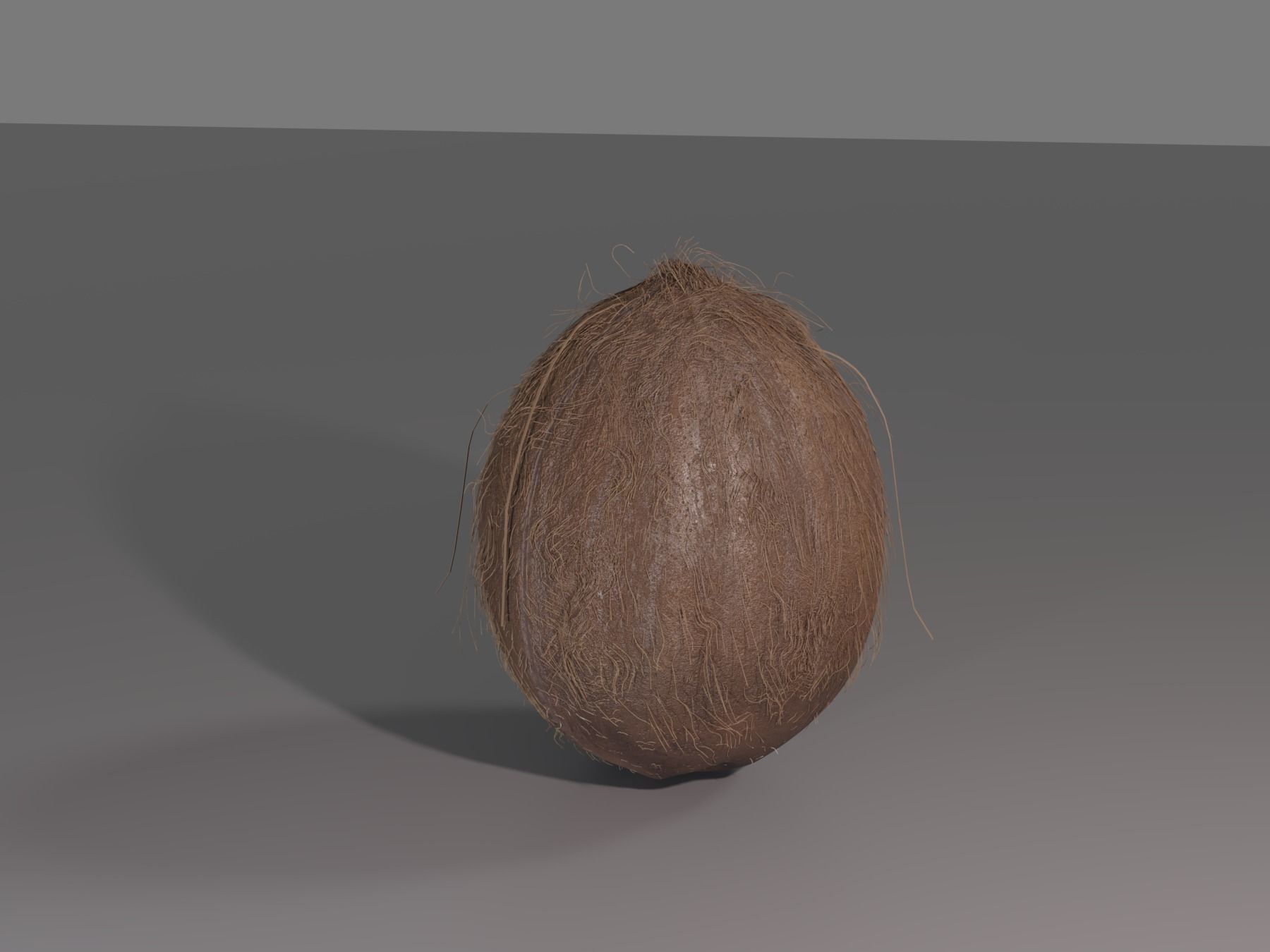 COCONUT 3D model_3