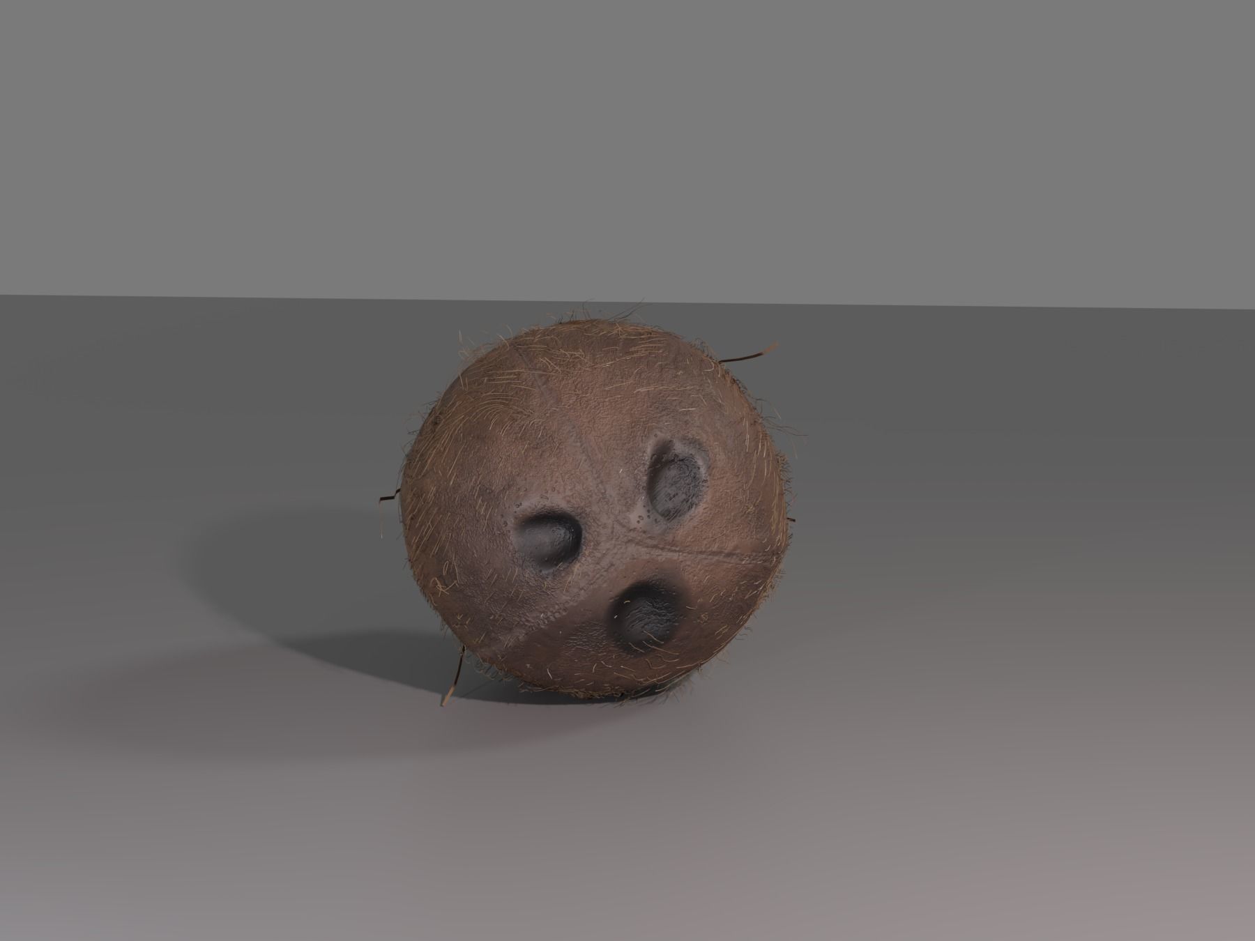 COCONUT 3D model_9